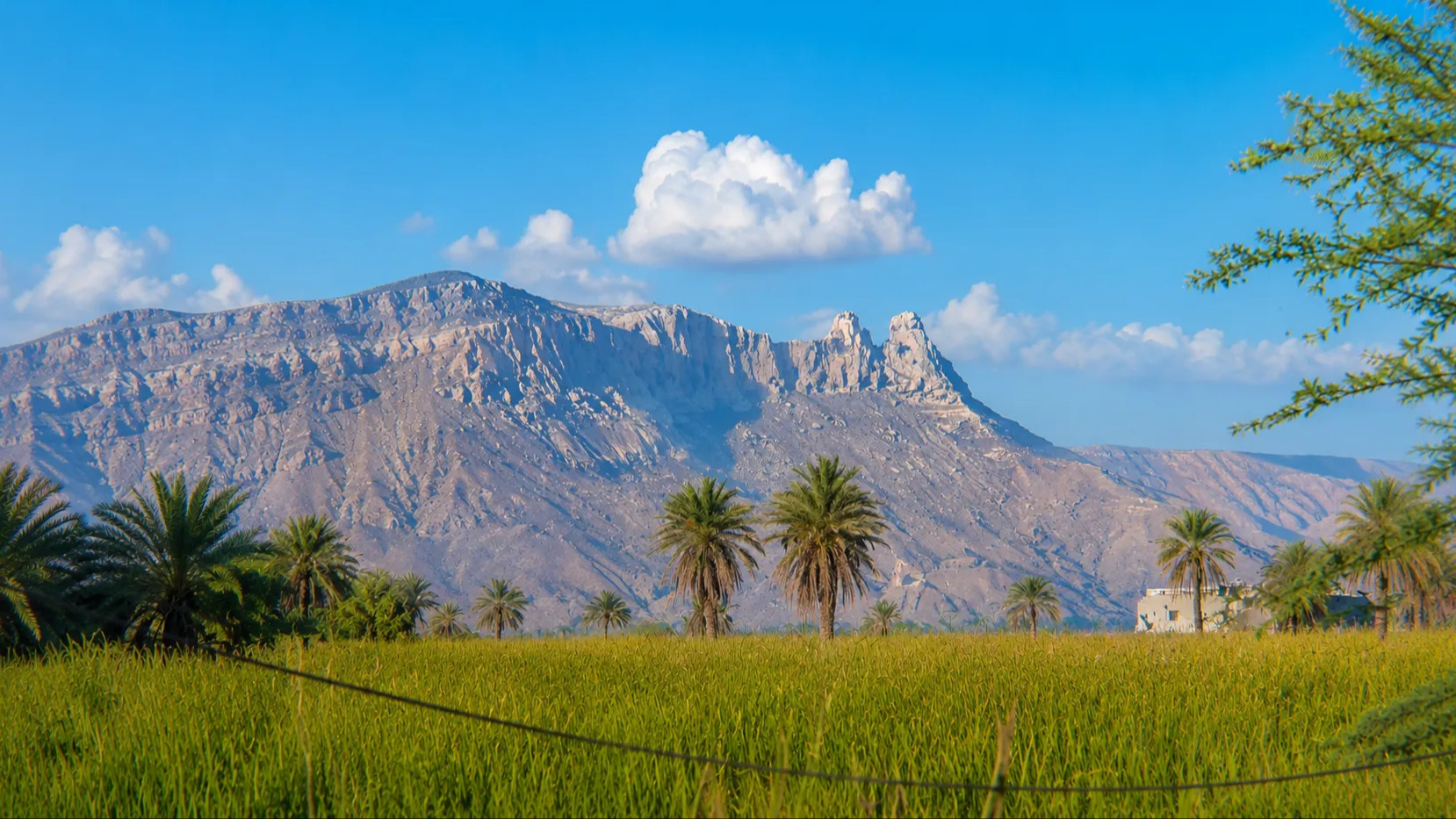 توزيع السلال الغذائية على الأسر المتعففة